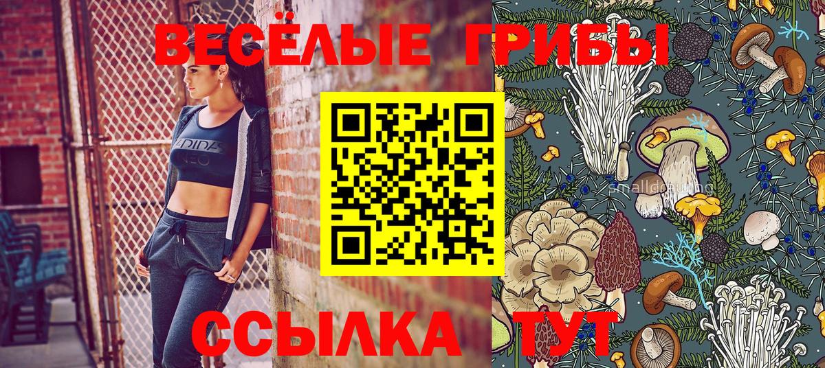 Галлюциногенные грибы ЛСД Магнитогорск