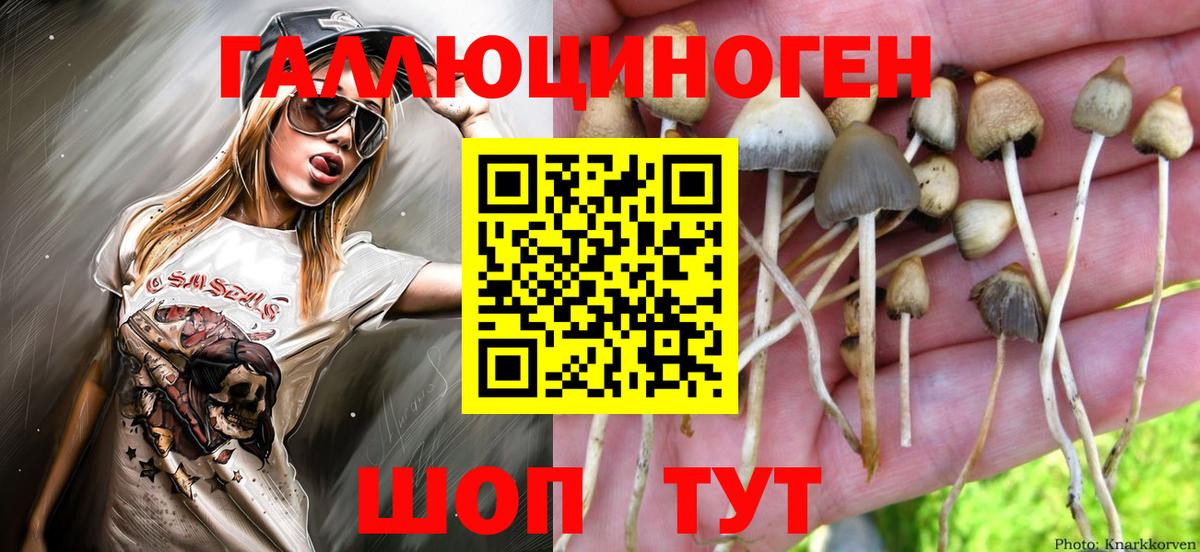 Магнитогорск  Псилоцибиновые грибы прущие грибы  Вход с VPN 
